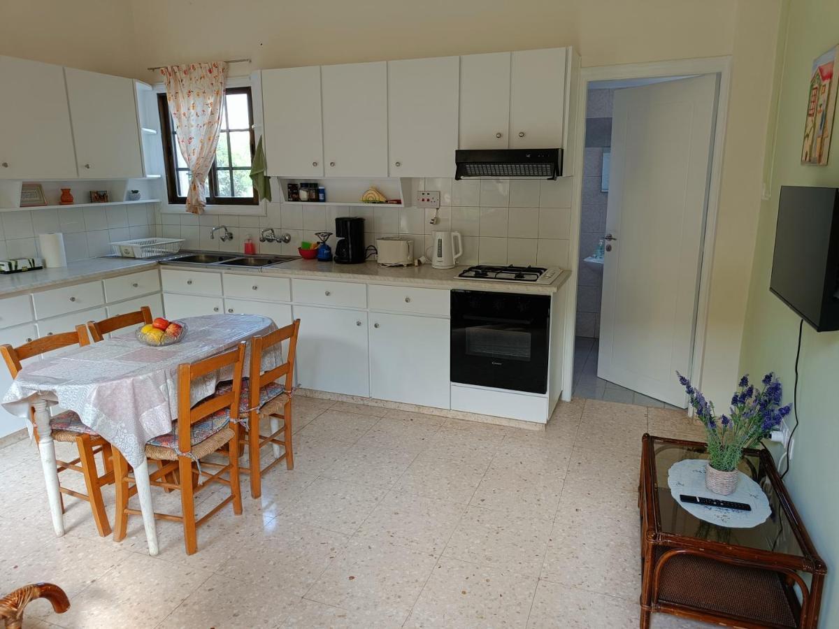 The Grapevine Guest House Pafos Dış mekan fotoğraf